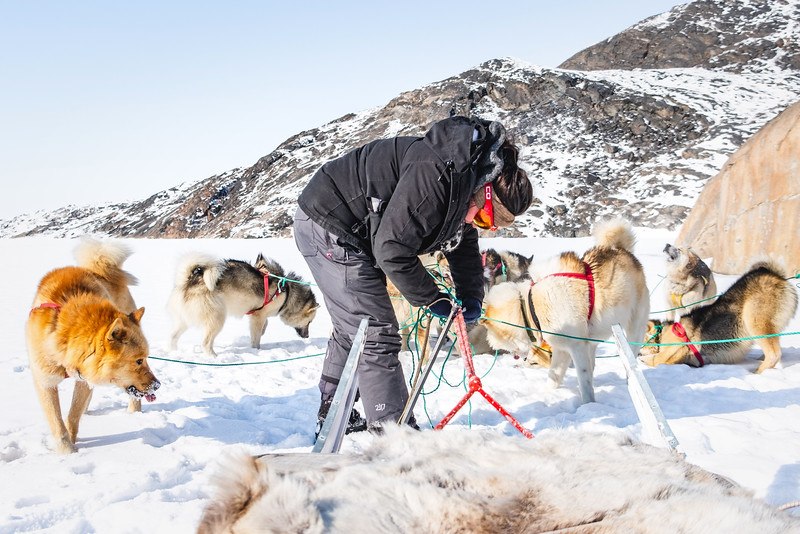kangerlussuaq-aasivissuit-dogsledding-winter-lasse_kyed-0019-L