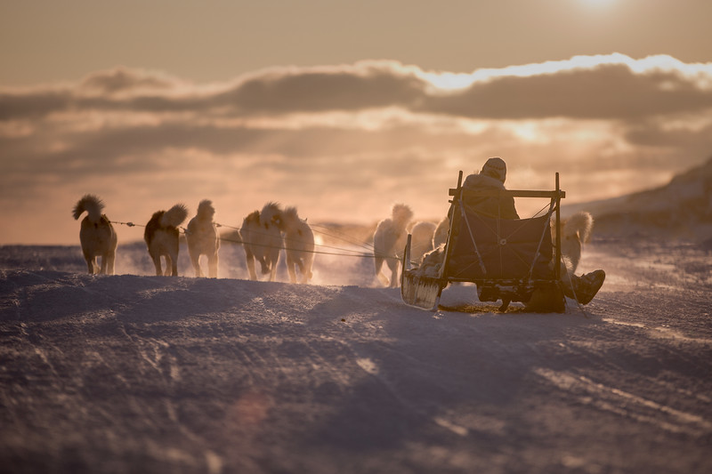 kangerlussuaq-dogsledding-winter-Mads_Pihl-0587-L
